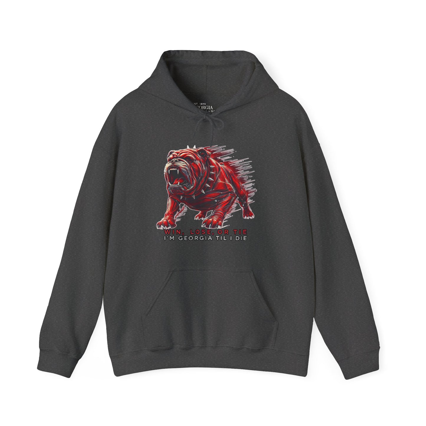 Win, Lose or Tie Hoodie